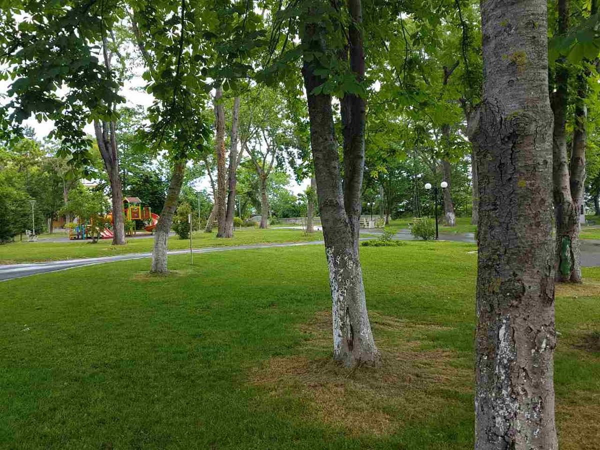 Villa Salena プリモルスコ エクステリア 写真